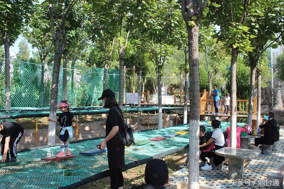 烟台十一景区免费游玩,十一假期旅游推荐烟台游乐场