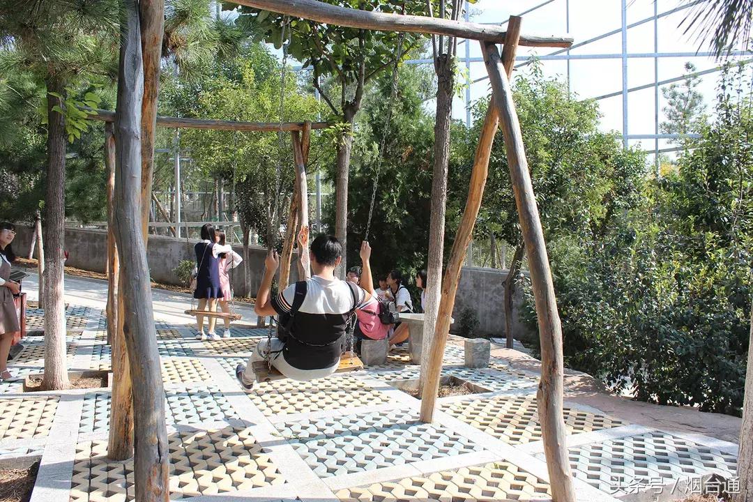 烟台十一景区免费游玩,十一假期旅游推荐烟台游乐场