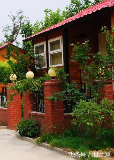 烟台十一景区免费游玩,十一假期旅游推荐烟台游乐场