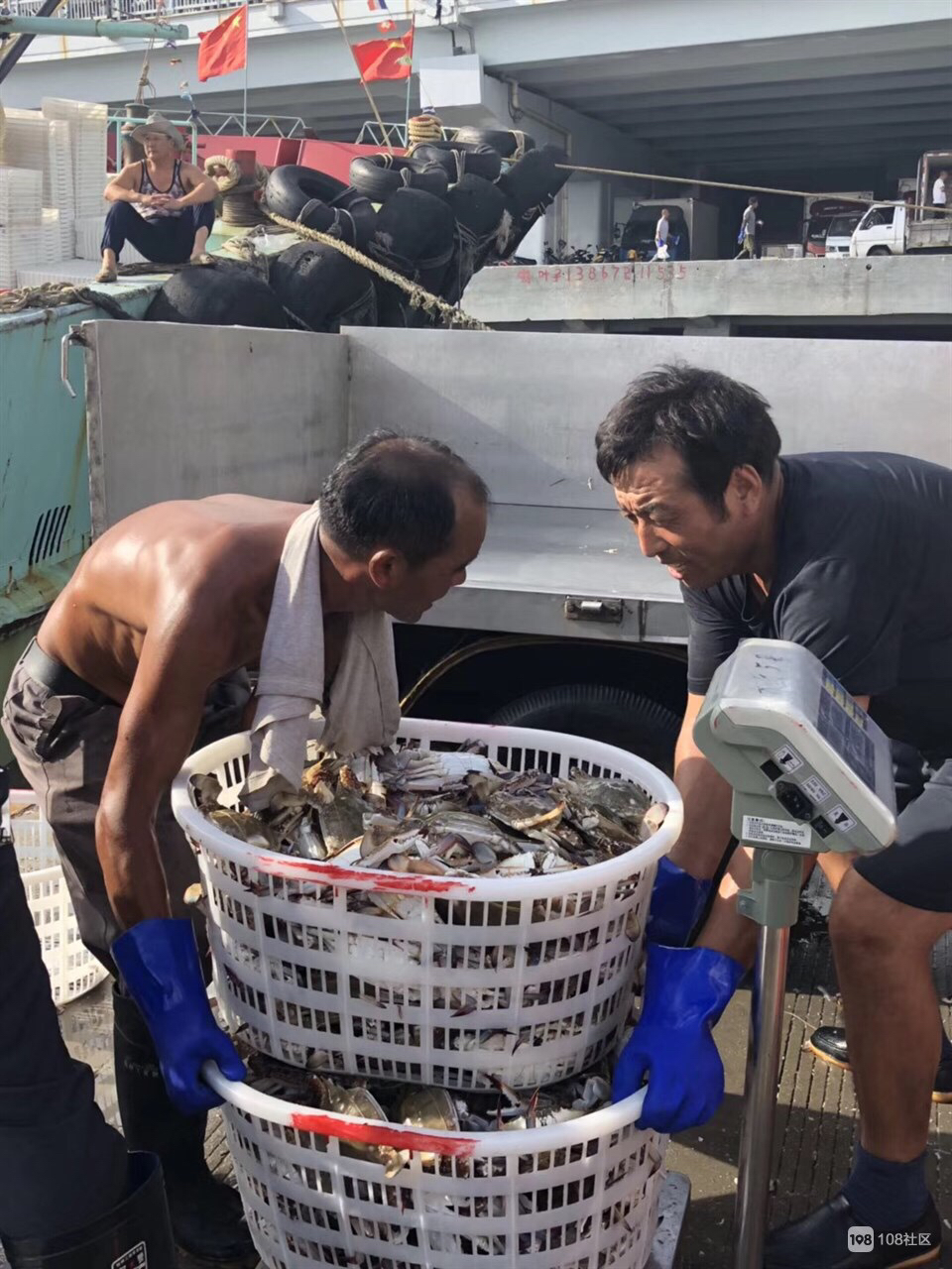 舟山旅游攻略买海鲜,舟山适合游客的海鲜市场