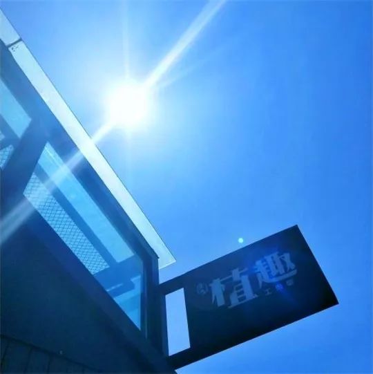 每日一咖港式茶饮,每日一咖日常生活