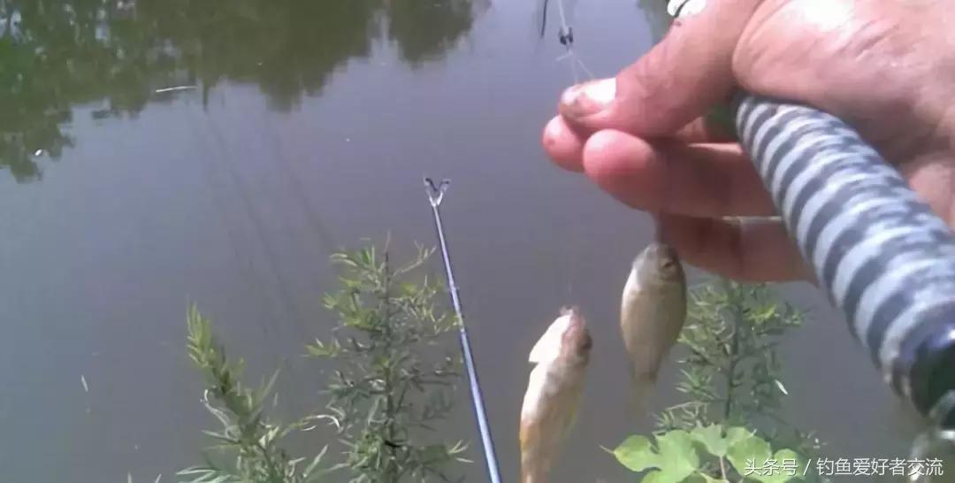 漂脚夹铅钓法与调漂方法,漂脚裹铅怎么调漂