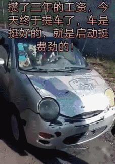 姑娘喝酒动图gif搞笑,醉酒图片gif