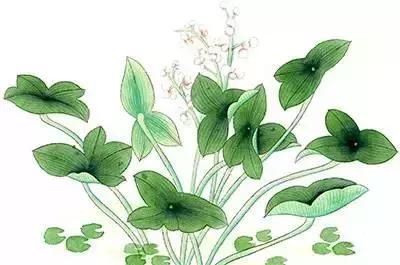 大厂附近旅游景点推荐一日游,五一旅游景点推荐大厂