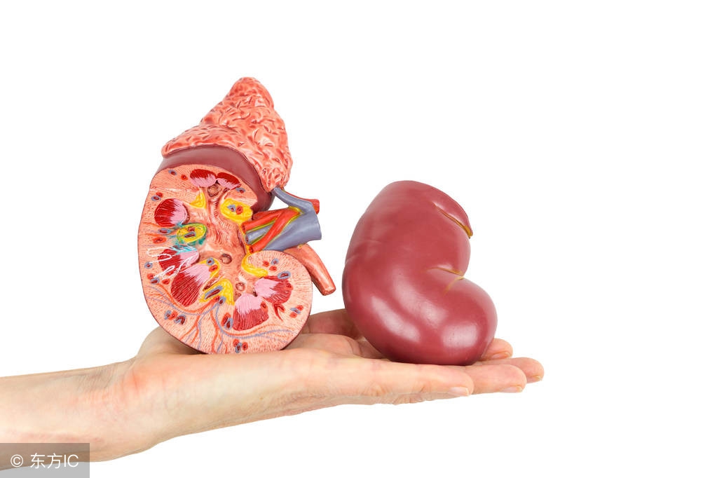 彩超检查没有发现肾结石,通过什么方法能检查出肾结石