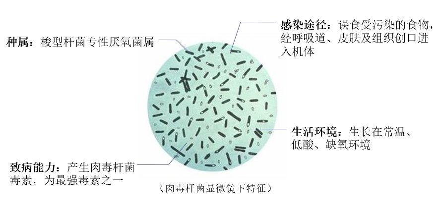瘦脸针安全吗脸大适合打瘦脸针吗,瘦脸针安全吗能打吗