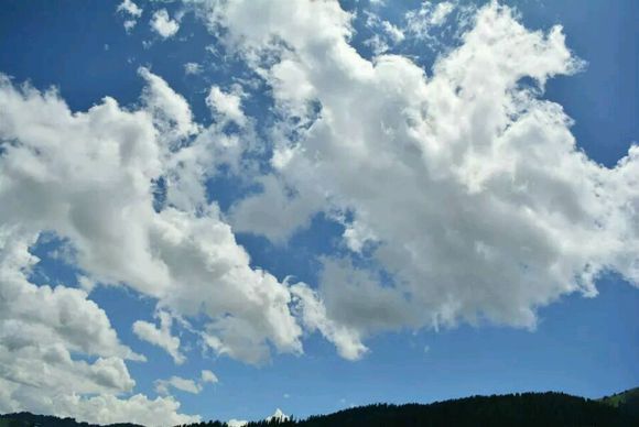 我的一周伊利穷游记