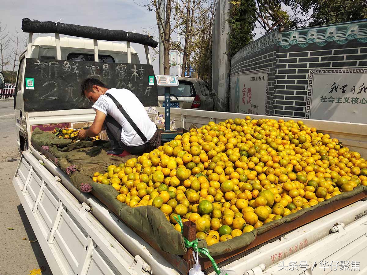 宜昌流动卖橙子,宜昌蜜桔市场好卖吗