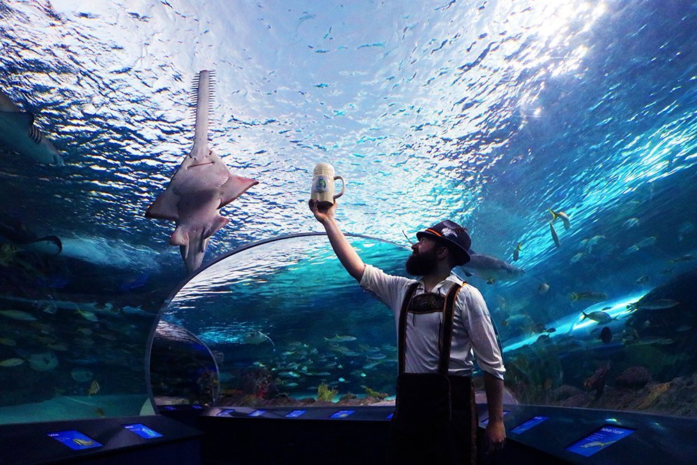 七天自我发现之旅｜Day4放任自我