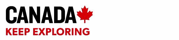 七天自我发现之旅｜Day4放任自我