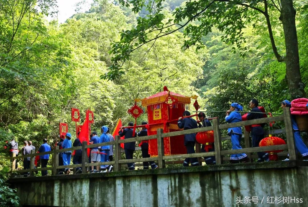 长假里，各大景点人满为患，这里怎么样呢？——森林氧吧