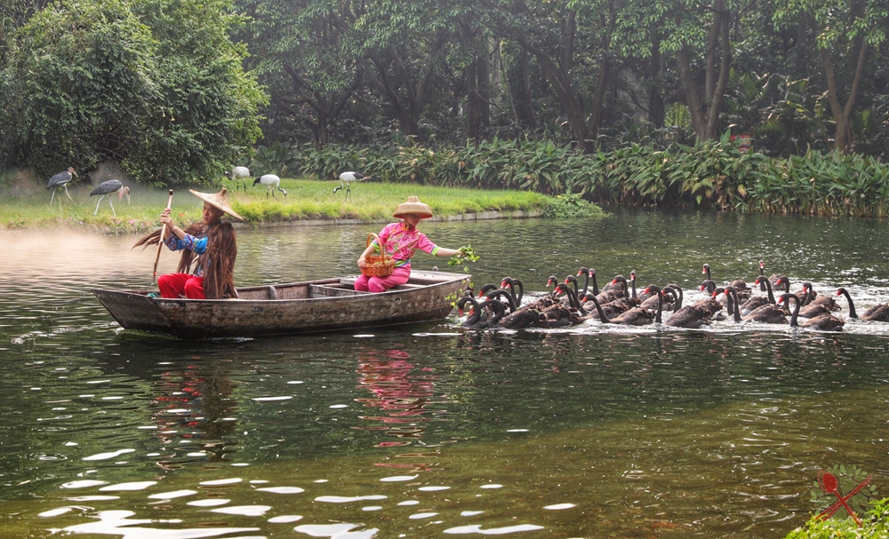 广州长隆乐园最全游玩攻略,广州长隆乐园旅游攻略三天两夜