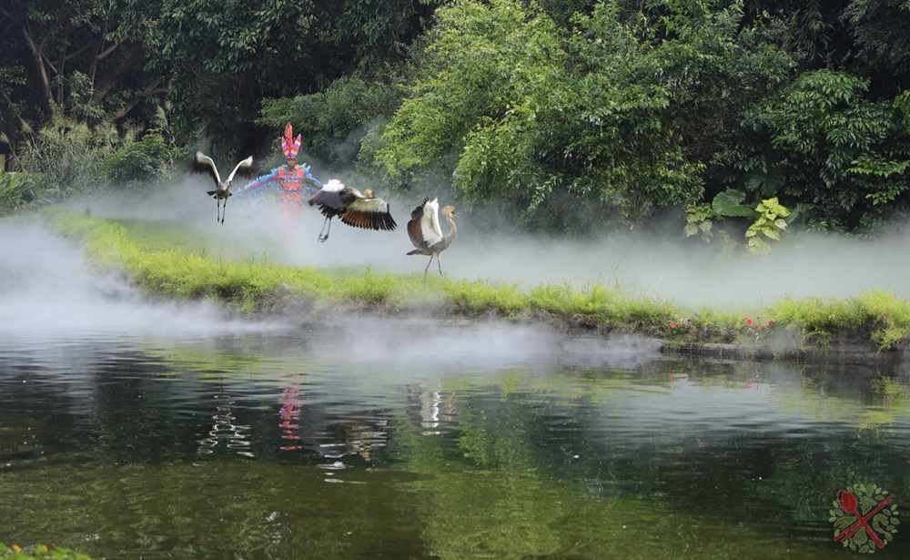 广州长隆4大乐园几天可以耍完,广州长隆野生动物世界国庆门票