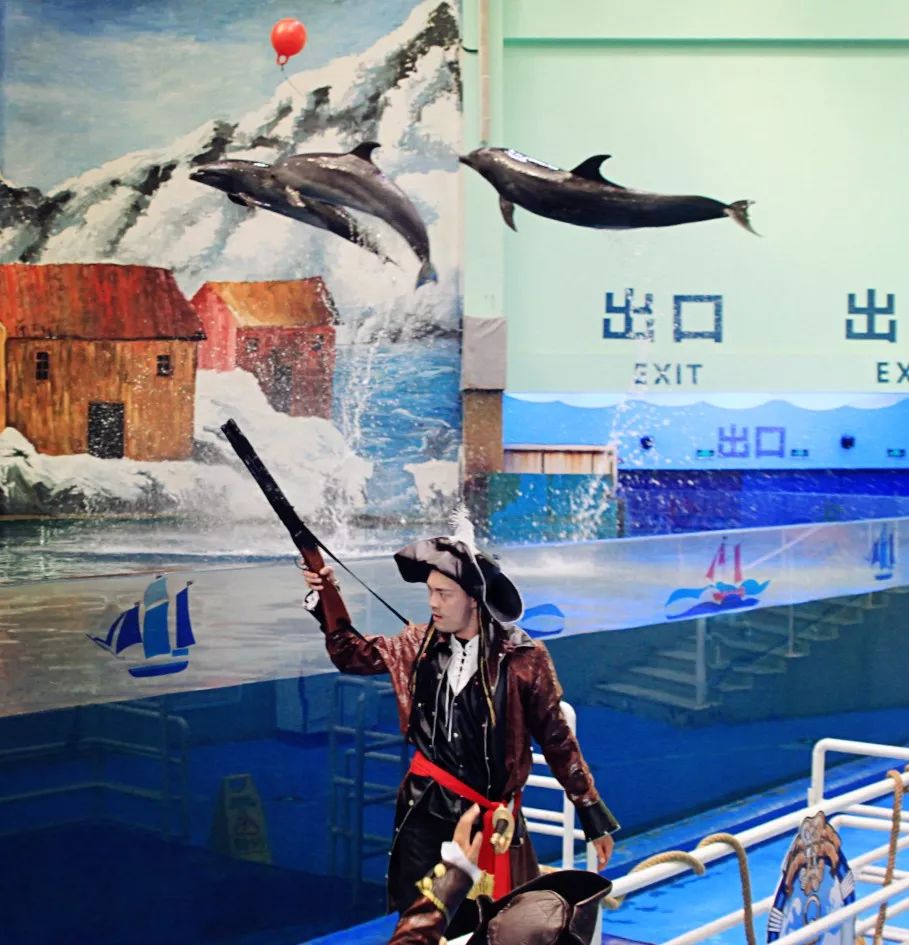 曲江一日游最佳攻略,良心游玩攻略