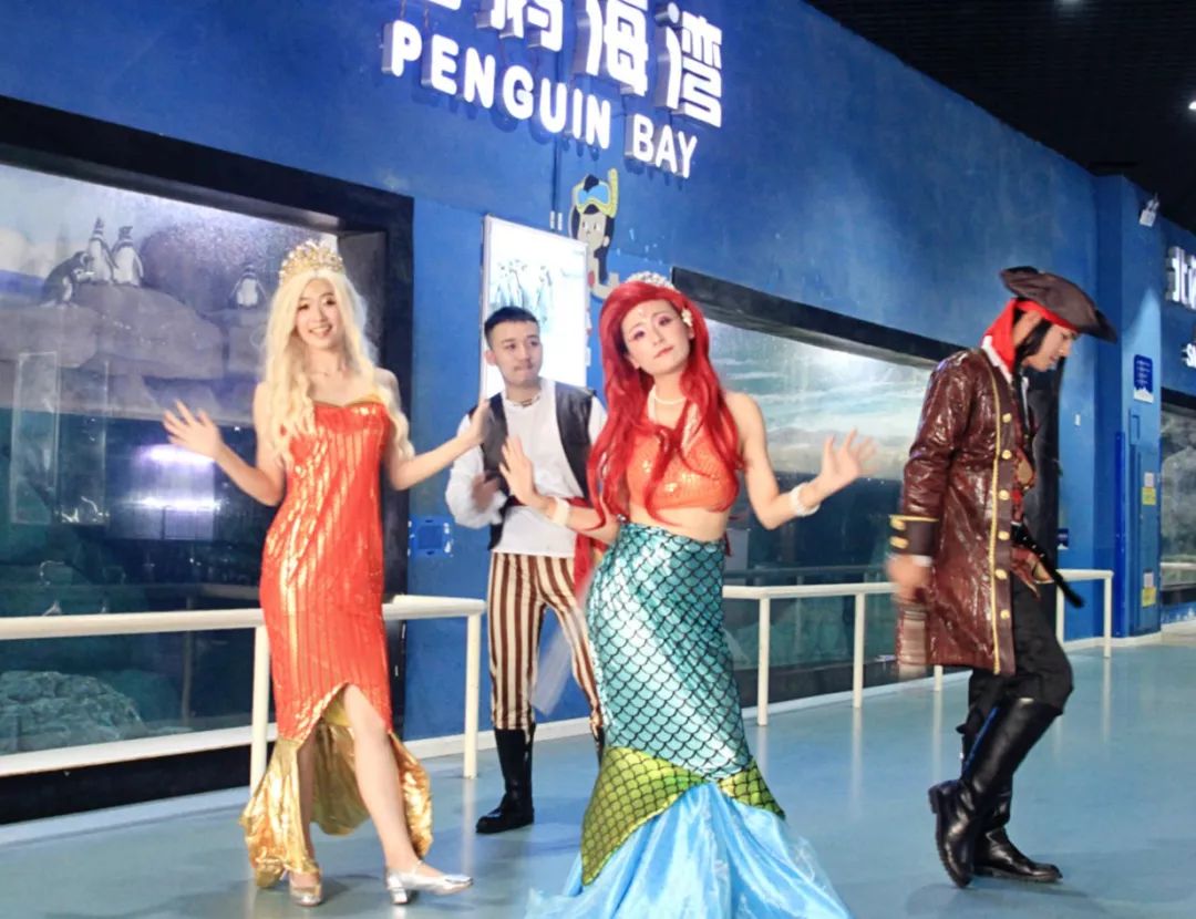 曲江一日游最佳攻略,良心游玩攻略