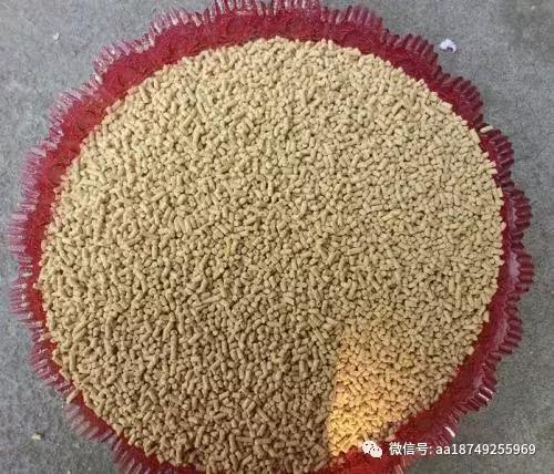 鸡不吃料,鸡不吃粮食是怎么回事