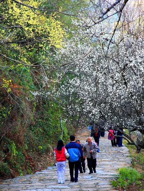 古驿道南粤古驿道,南粤古驿道旅游景点