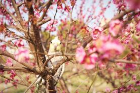 什么？师大的小动物过节了？（内含惊喜）