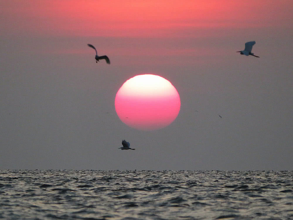 初升的红日很漂亮，配上海面的波浪，很唯美！