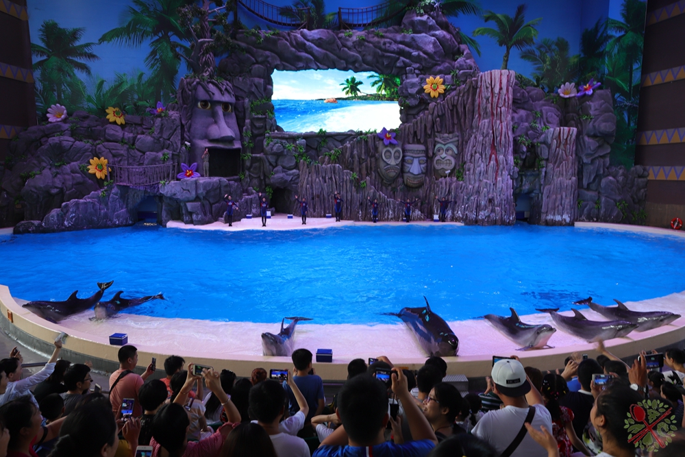 珠海长隆海洋王国企鹅馆北极熊馆,珠海长隆企鹅海洋王国攻略