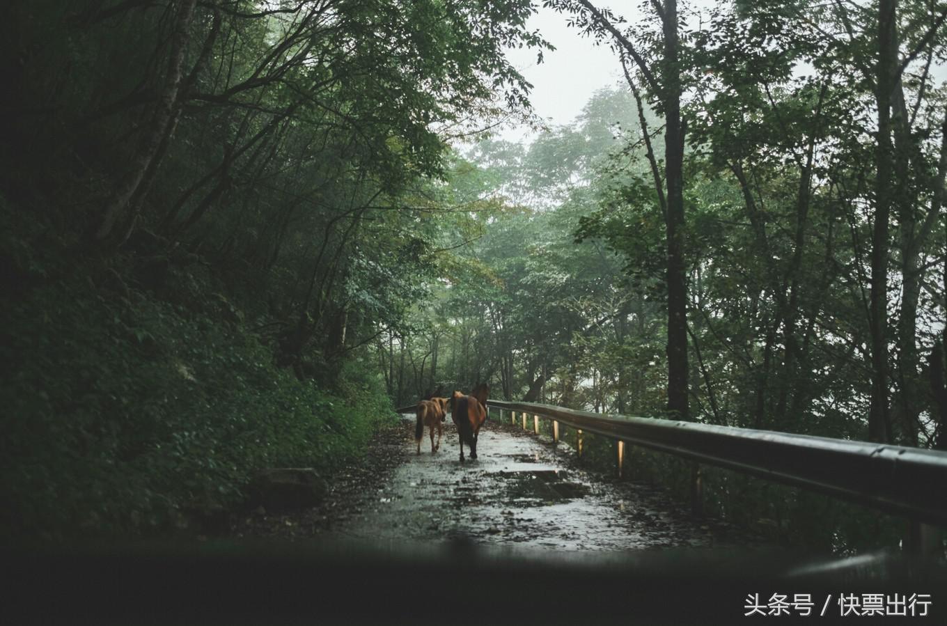 2020孟获城冶勒湖自驾攻略,孟获城冶勒湖自驾游攻略绵阳