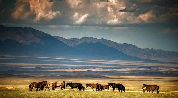 从俄罗斯攫取土地，人均收入达到发达国家水平，却甘为俄罗斯小弟