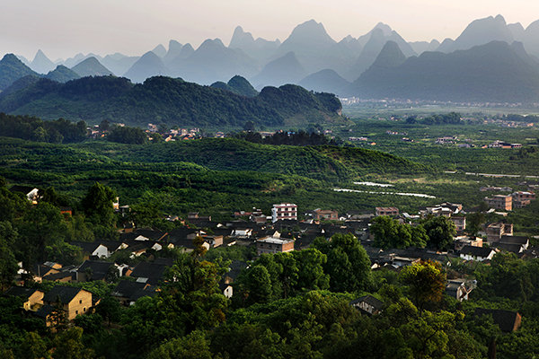 十月秋香，恭城人民带你品沙柚、尝月柿、喝油茶、逛文武庙周渭祠