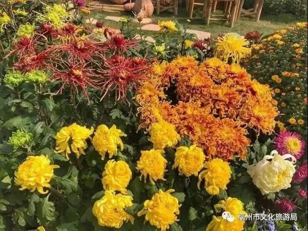 全省接待游客3464.61万！安徽通报国庆前4天旅游情况，了解一下