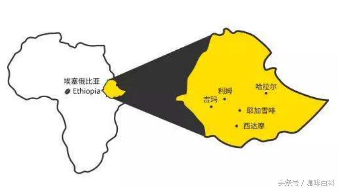 小白如何在咖啡馆点咖啡?常见菜单里咖啡种类讲解