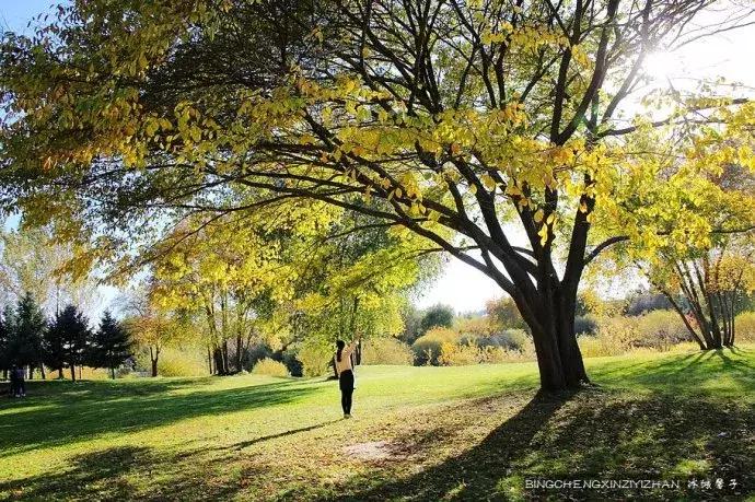 哈尔滨隐藏的景点伏尔加庄园,哈尔滨国庆节去哪里
