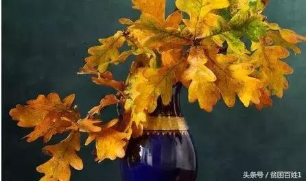 懂得拒绝才能不卑微,懂得拒绝才能做到无悔