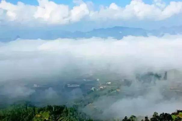 出去人从众,玄武为你安排了身边的风景