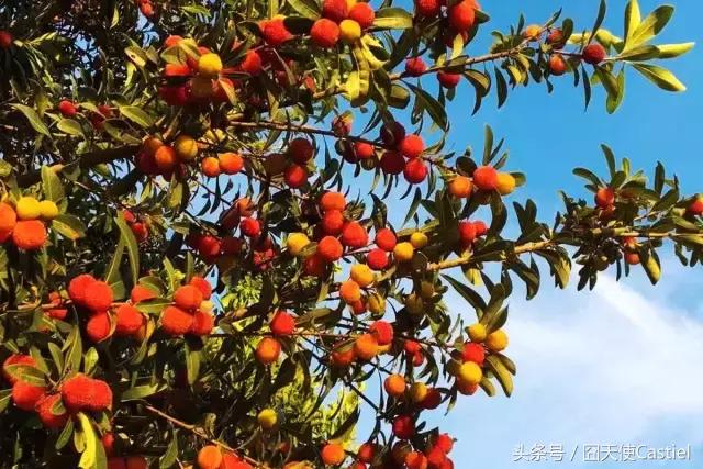 一位大叔改造农村自建房,40多岁大叔改造海景房