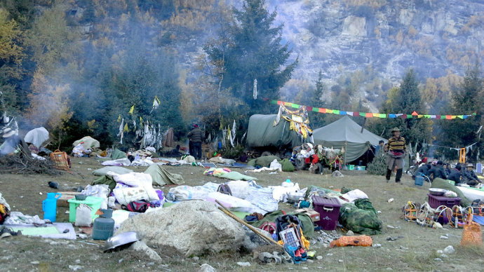 适合带着去旅行的宠物,宠物旅行攻略如何带宠物出门旅游
