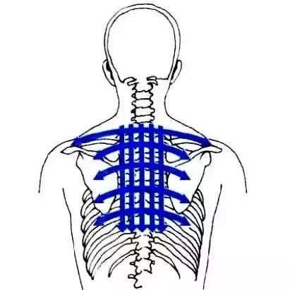 刮痧治疗感冒的操作流程,风寒感冒刮痧哪里效果最好图解