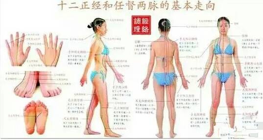 针灸二十八绝穴治疗歌诀,针灸治疗43种疾病有哪些