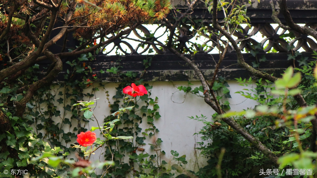 对待得寸进尺的人无需一忍再忍,不要把我的容忍当作你的得寸进尺