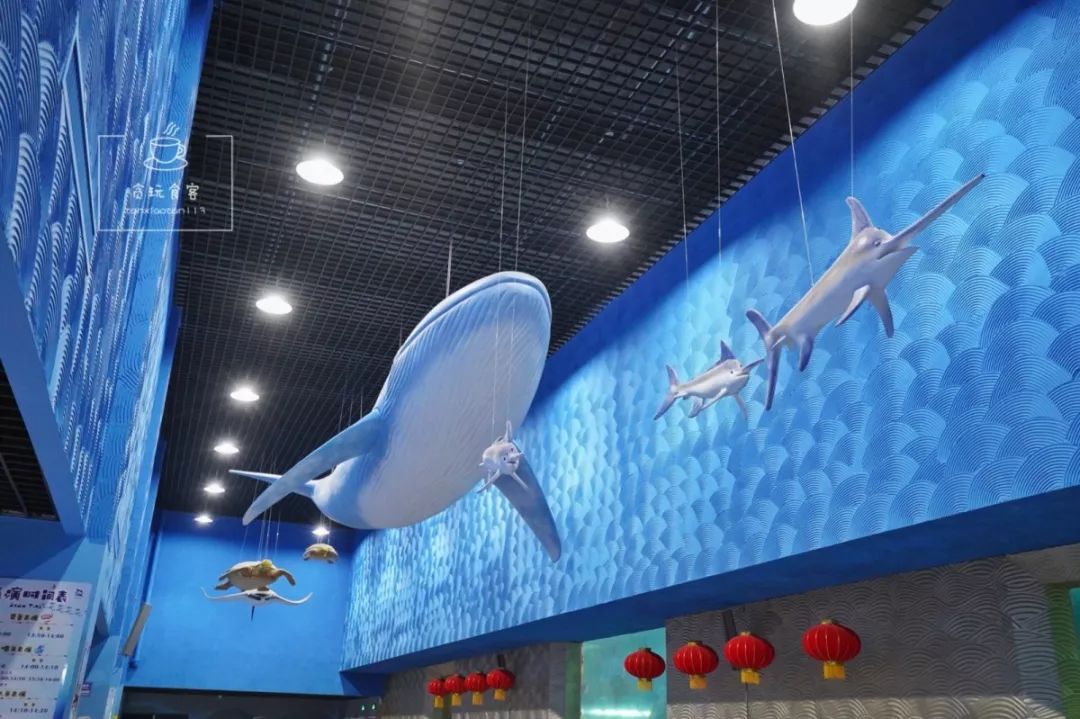 秦皇岛旅游攻略夜景,秦皇岛旅游攻略这几个景点必去