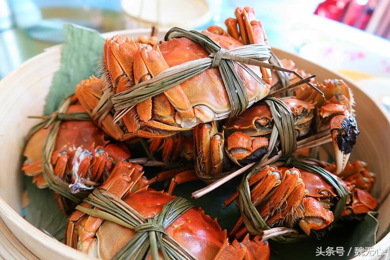 晚上去阳澄湖吃大闸蟹旅游攻略,去阳澄湖吃大闸蟹和游玩攻略