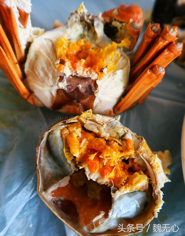 去阳澄湖吃大闸蟹一日游10月份,去阳澄湖吃大闸蟹一日游蟹行天下