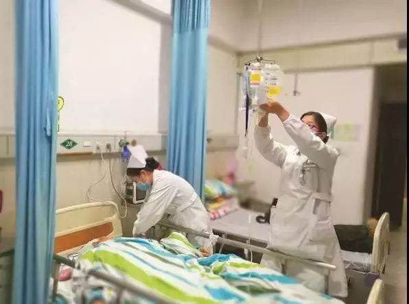 中国锦鲤2020,中国锦鲤后续走势