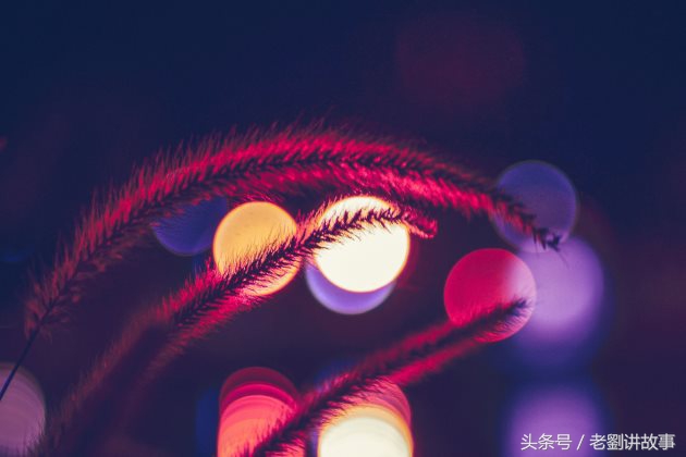 高分排比句作文,初中作文排比金句