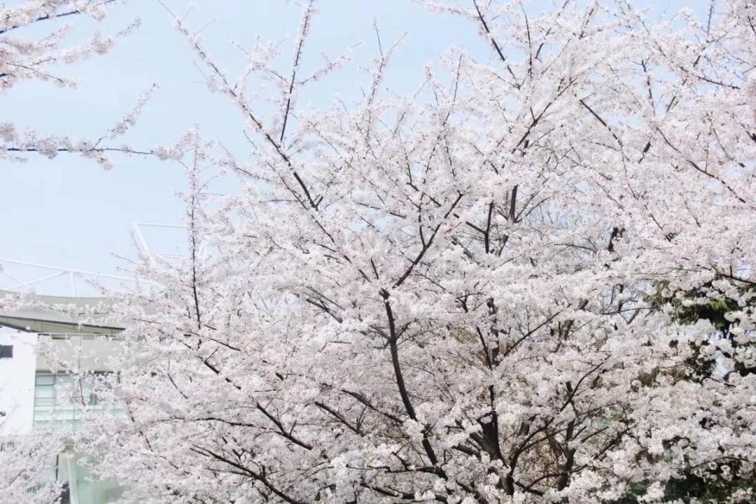 上海地铁3号线沿线美食,上海美食小吃一条街必打卡