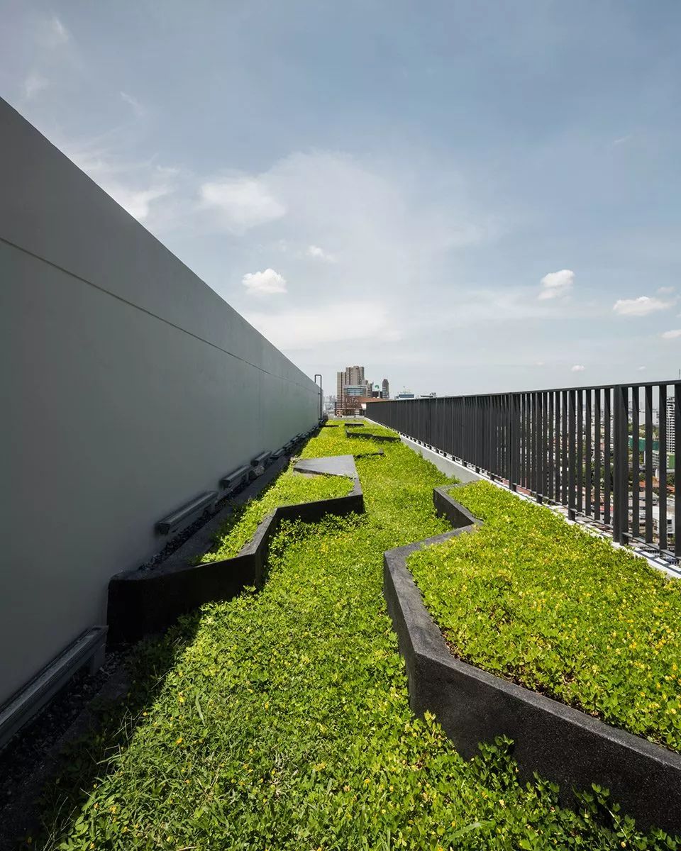 屋顶景观设计常见问题,设计园林的思路