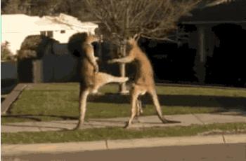 小仙女怎么能没有仙女裙呢,设计感小众仙女裙