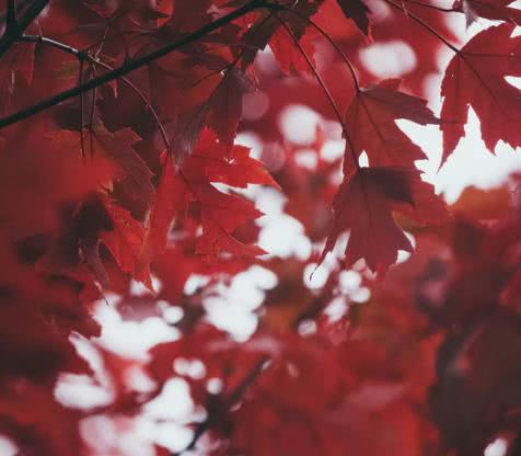 分手怎么挽回女友的方法,我提出的分手想挽回怎么挽回