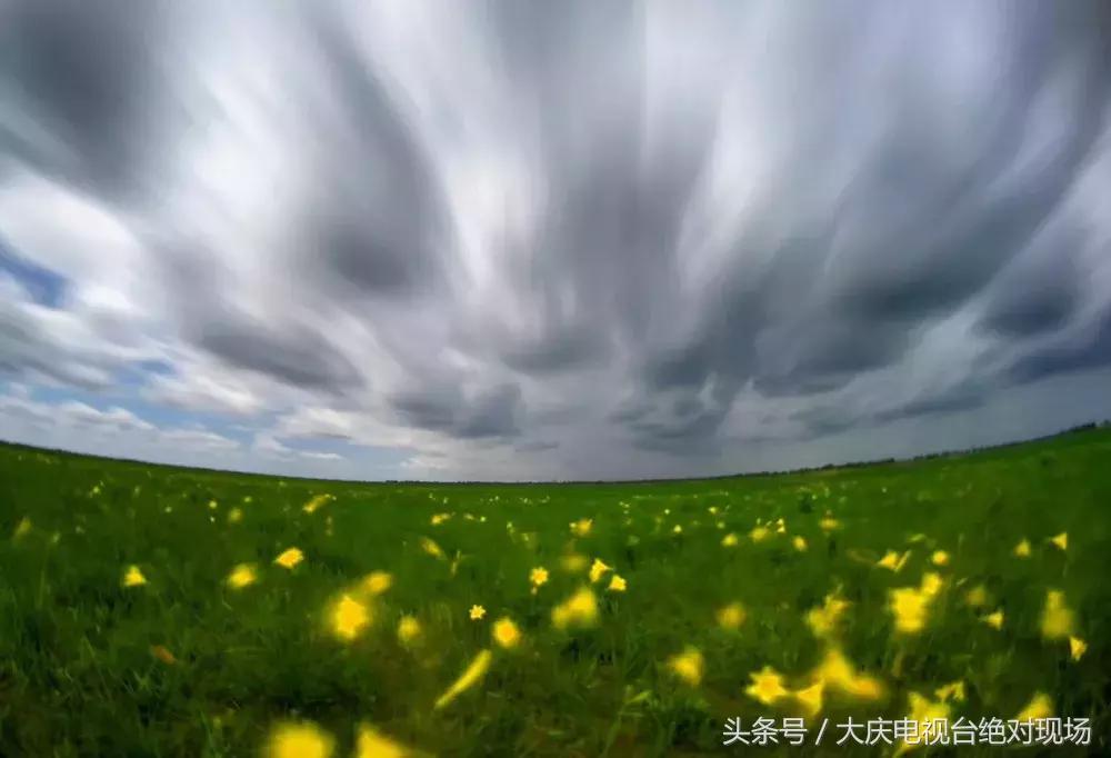 大庆这个城市未来会有发展吗,大庆哪个县发展潜力大