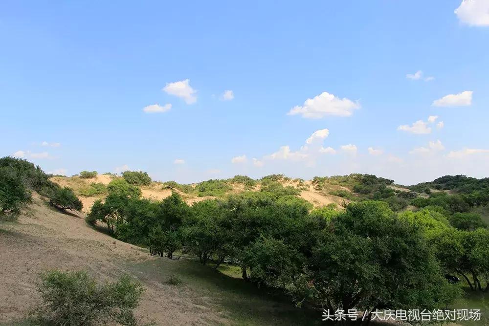 大庆这个城市未来会有发展吗,大庆哪个县发展潜力大