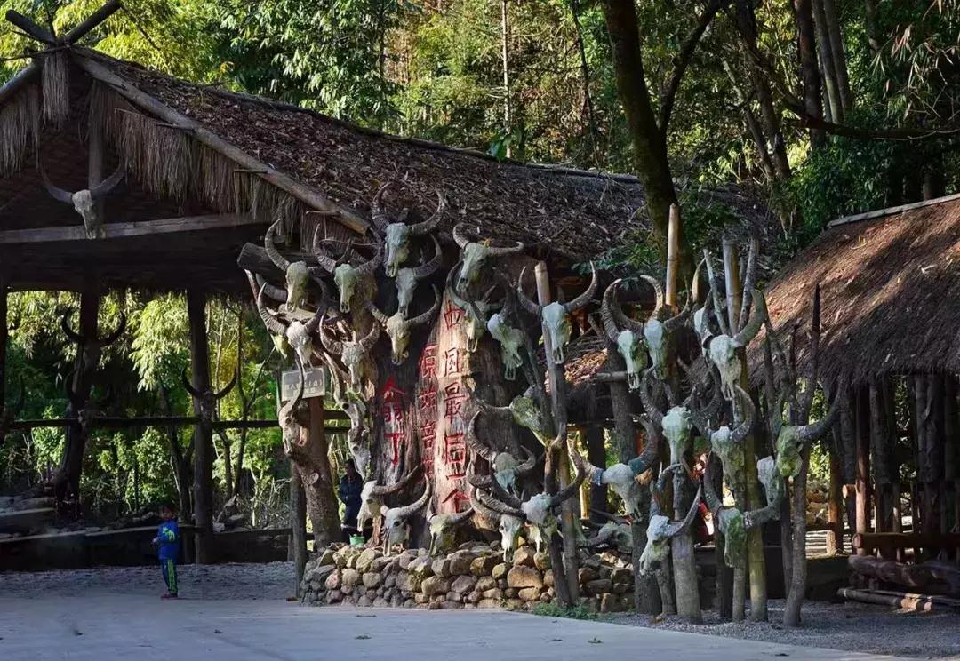 中国最后一个原始部落的真实生活,遗憾中国仅存的原始部落