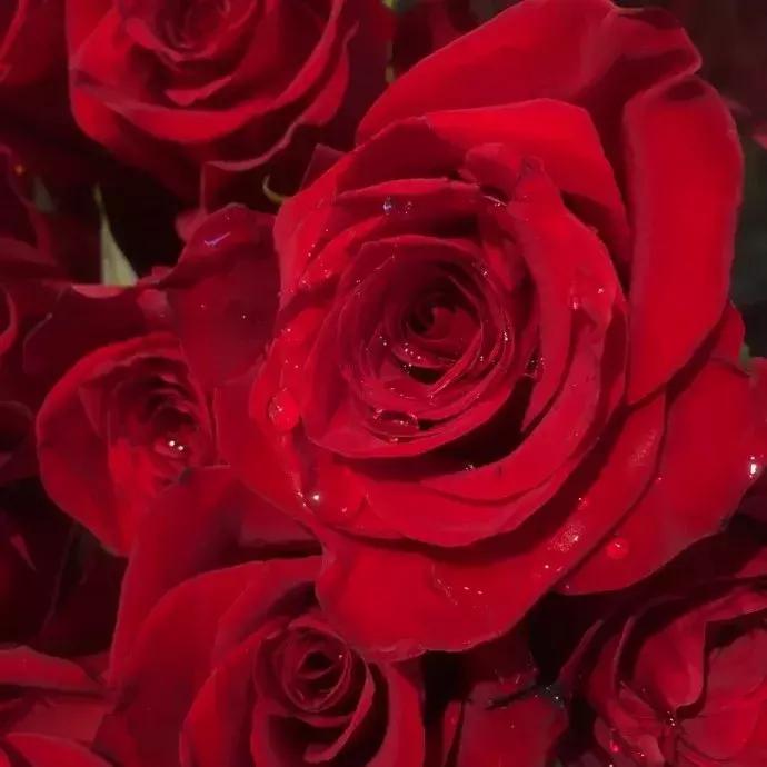 当男朋友和口红同时掉进水里,口红掉进水里了有用吗